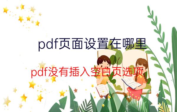 pdf页面设置在哪里 pdf没有插入空白页选项？